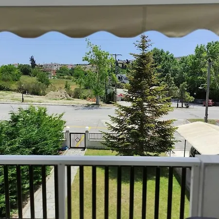 Apartment Birdsong *