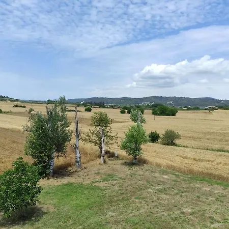 Birdsong Apartment Possidi